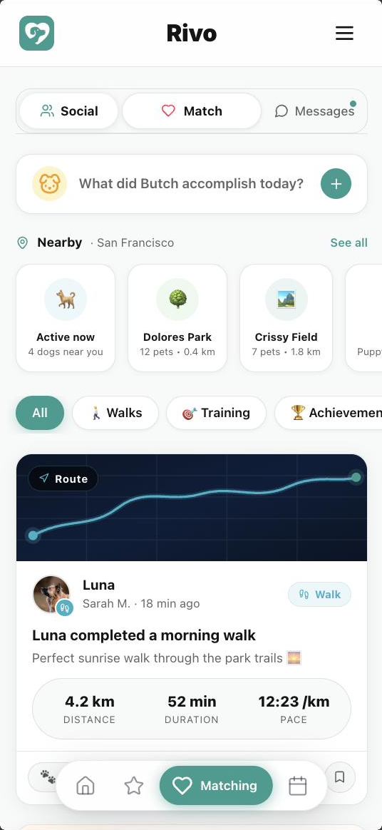 Rivo Social feed with nearby spots and community activity